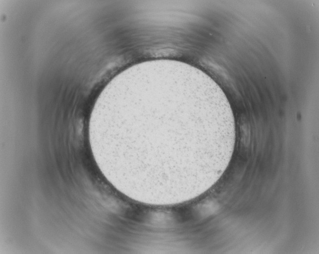 X0000088230308200706121902