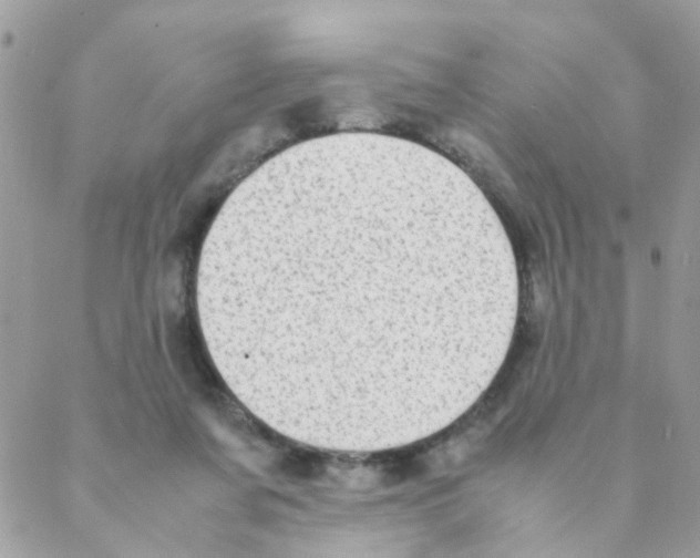 X0000088230311200706121902