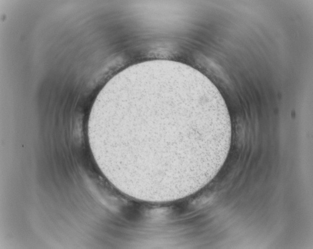 X0000088230312200706121902