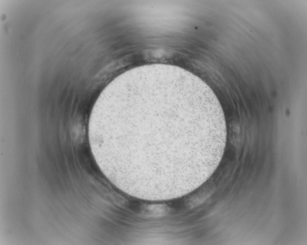 X0000088230324200706121902