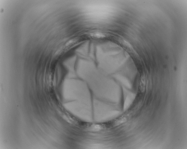 X0000088230330200706121902