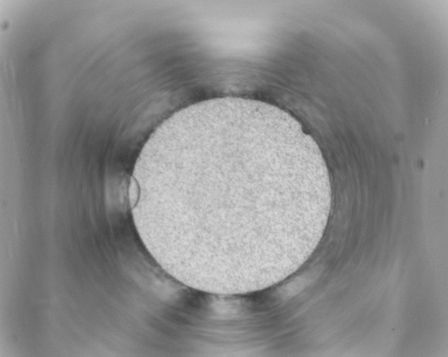 X0000088230336200706121902