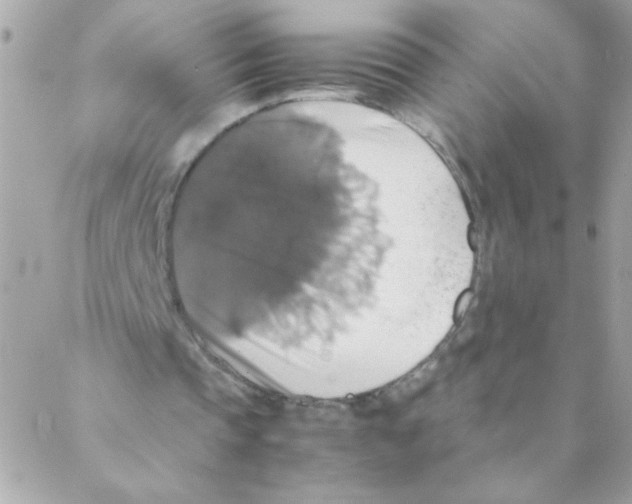 X0000088230337200706121901