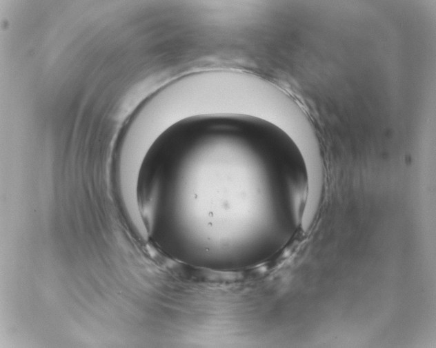 X0000088230340200706121901
