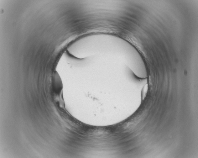 X0000088230348200706121901