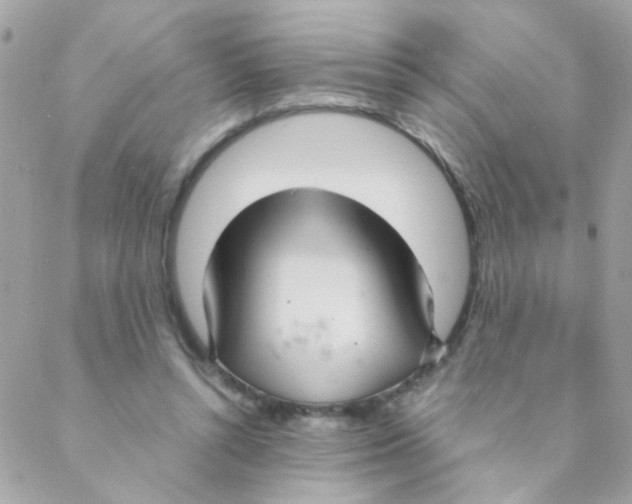 X0000088230352200706121901