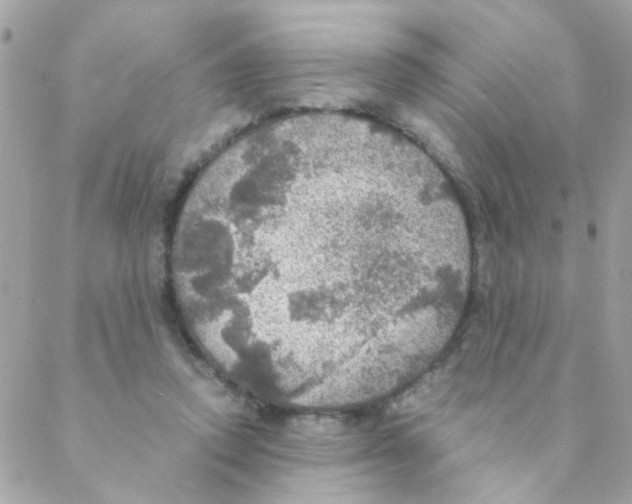 X0000088230354200706121901