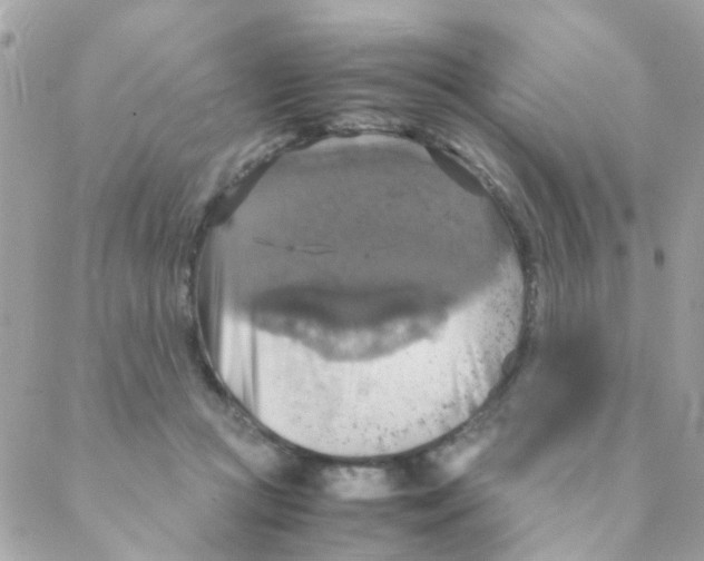 X0000088230361200706121901