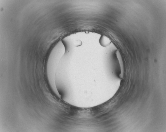 X0000088230362200706121901
