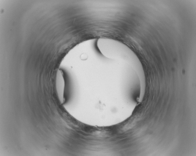 X0000088230364200706121902