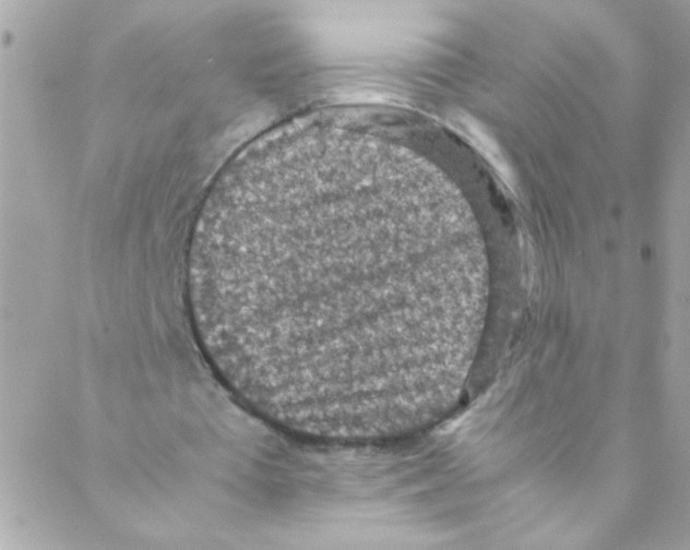 X0000088230385200706121901
