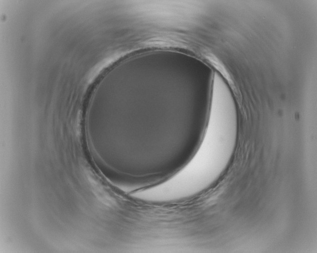 X0000088230387200706121901