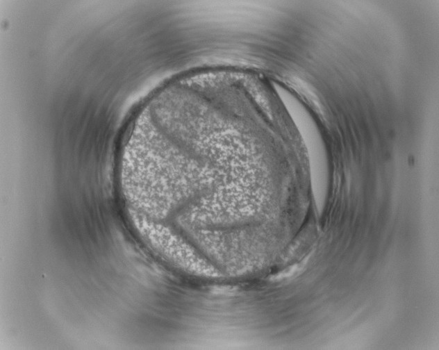 X0000088230388200706121901