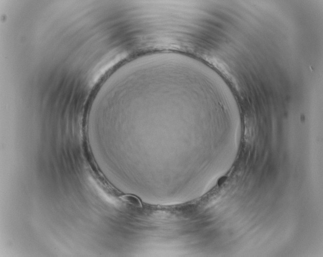 X0000088230390200706121901