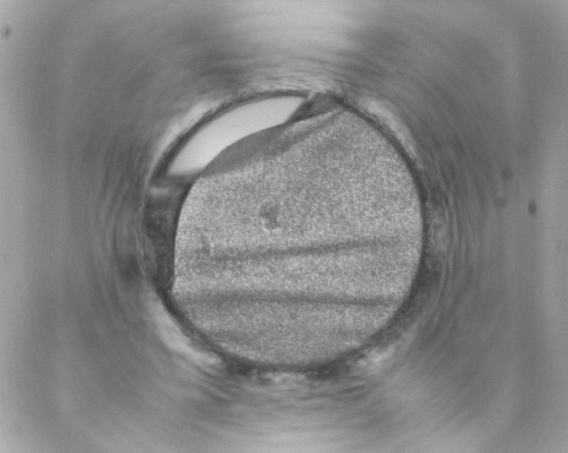X0000088230395200706121901