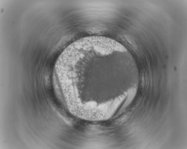 X0000088230408200706121901