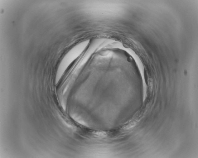X0000088230409200706121901