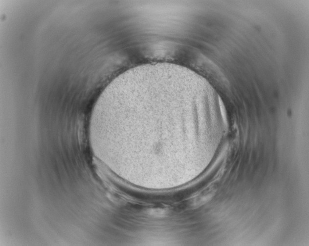 X0000088230416200706121901