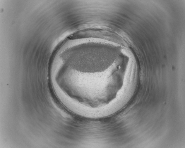X0000088230438200706121900