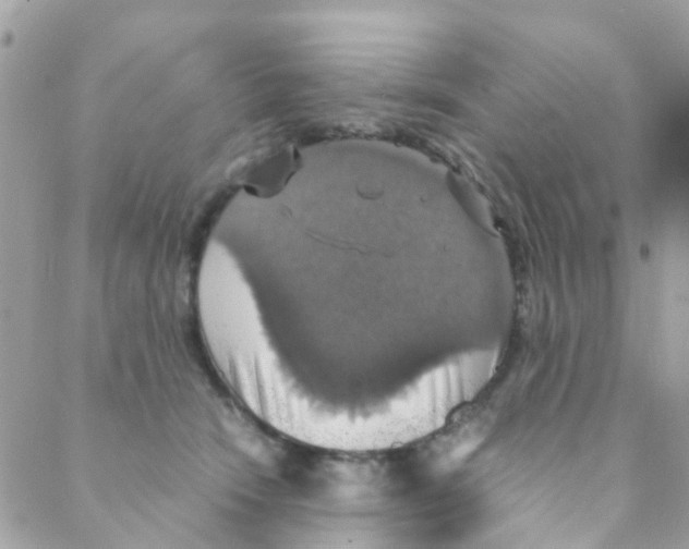 X0000088230466200706121900