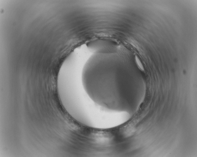 X0000088230467200706121900