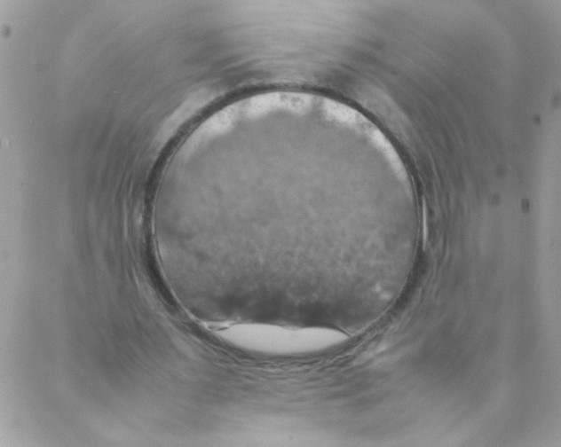 X0000088230483200706121859