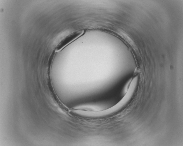X0000088230485200706121859