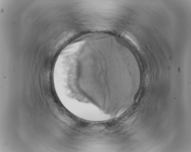 X0000088230491200706121859