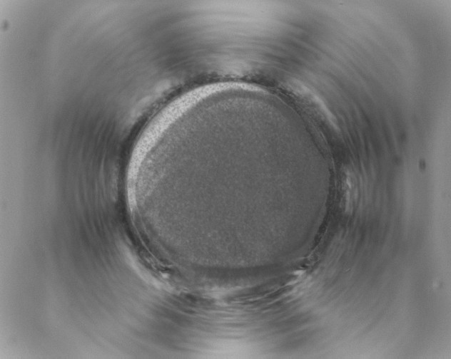 X0000088230496200706121859