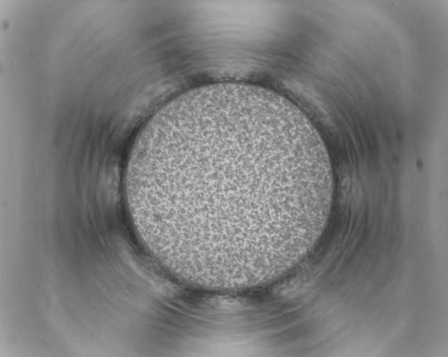 X0000088230498200706121859