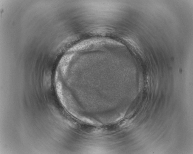 X0000088230504200706121859