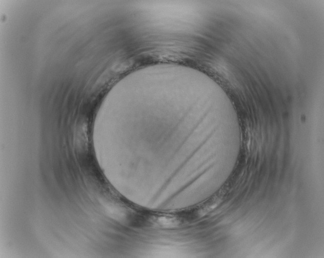 X0000088230506200706121859