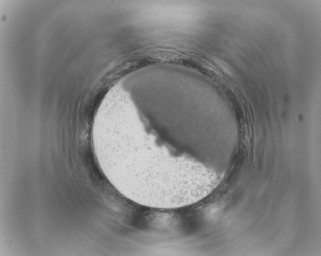 X0000088230507200706121859