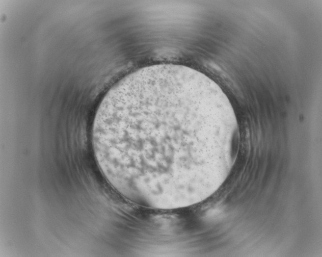 X0000088230508200706121859