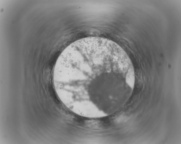 X0000088230511200706121859