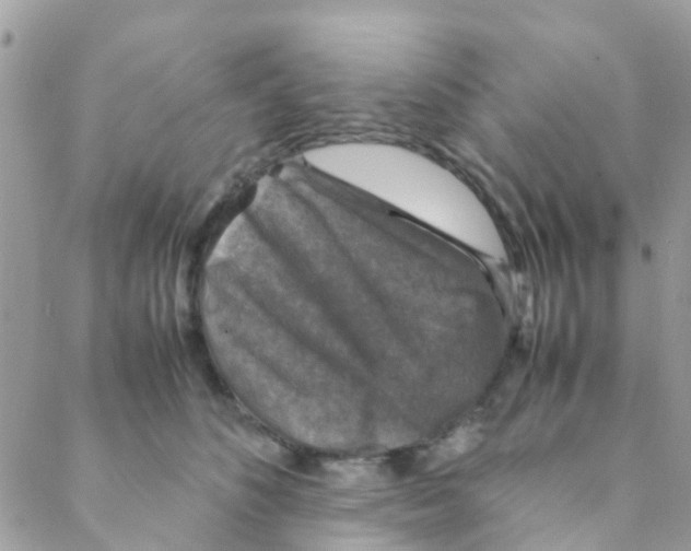X0000088230516200706121859