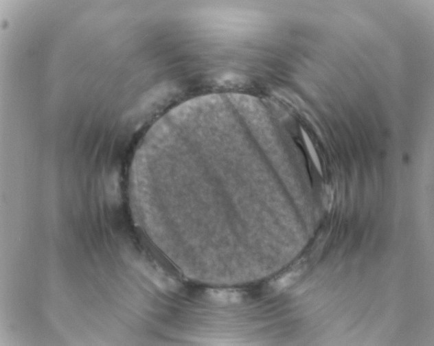X0000088230520200706121859