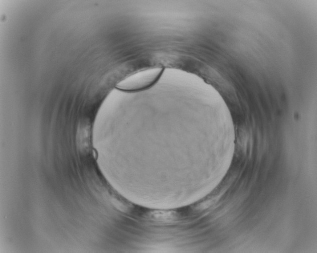 X0000088230526200706121859