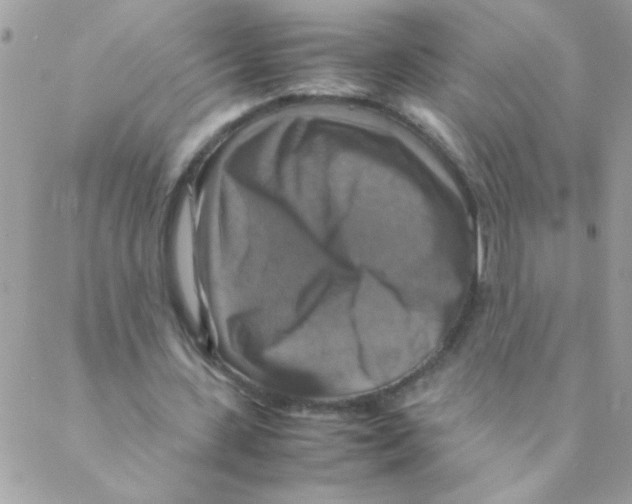 X0000088230531200706121858