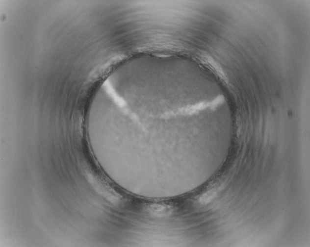 X0000088230542200706121858
