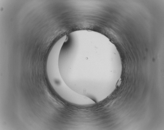 X0000088230546200706121858