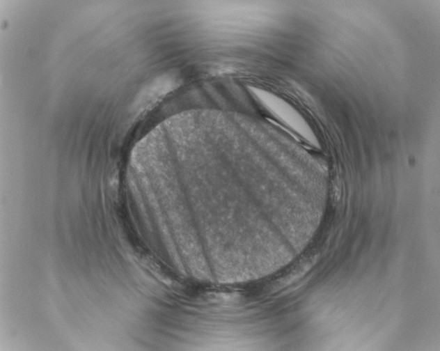 X0000088230552200706121858
