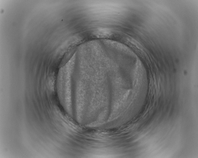 X0000088230604200706121858