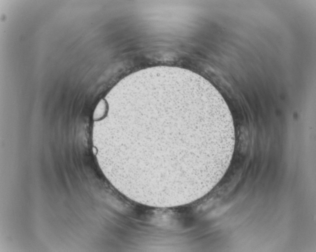 X0000088230612200706121857
