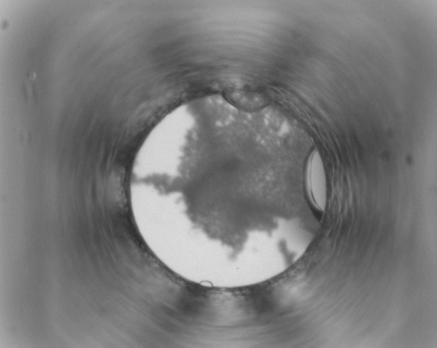X0000088230616200706121857