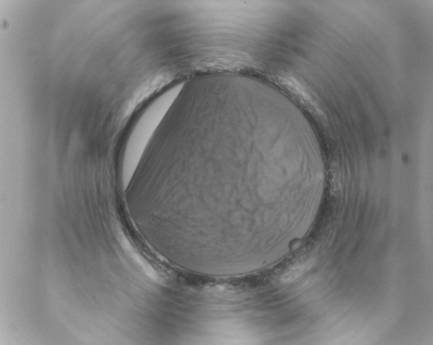 X0000088230634200706121857
