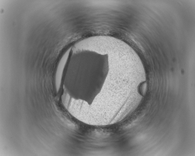 X0000088230641200706121857
