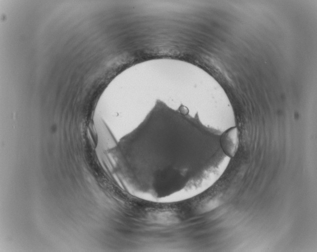 X0000088230643200706121857
