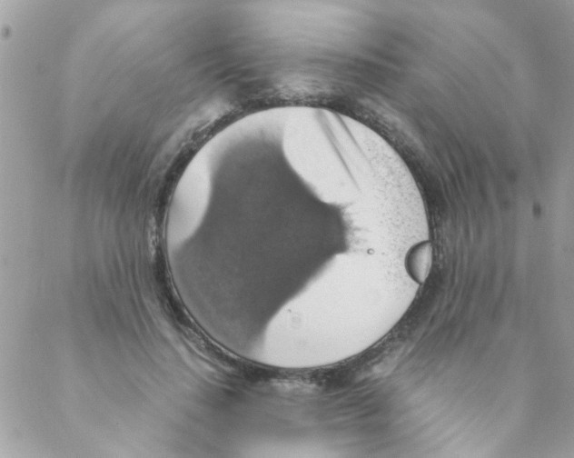 X0000088230644200706121857