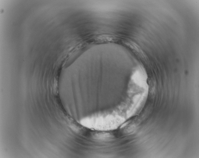 X0000088230669200706121857